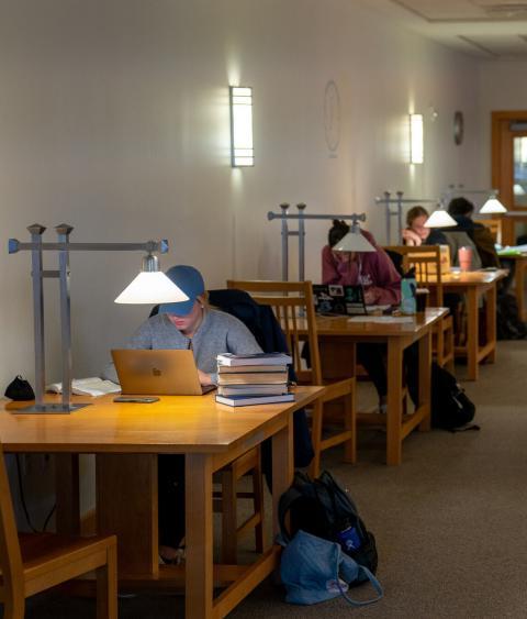 students studying in the library